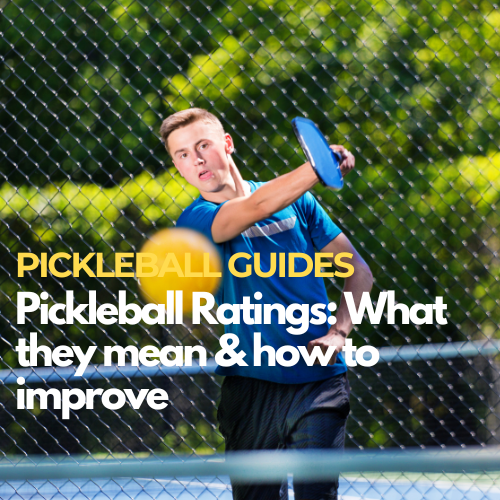 pickleball-ratings-guide