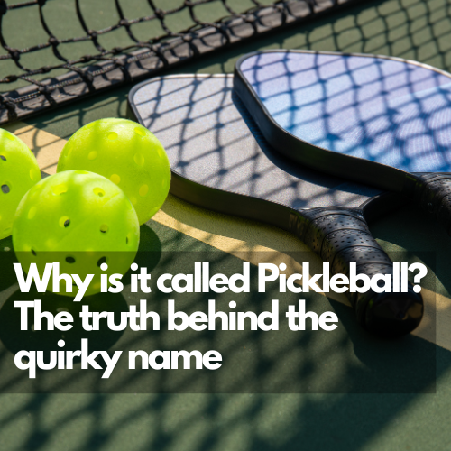 why-is-it-called-pickleball